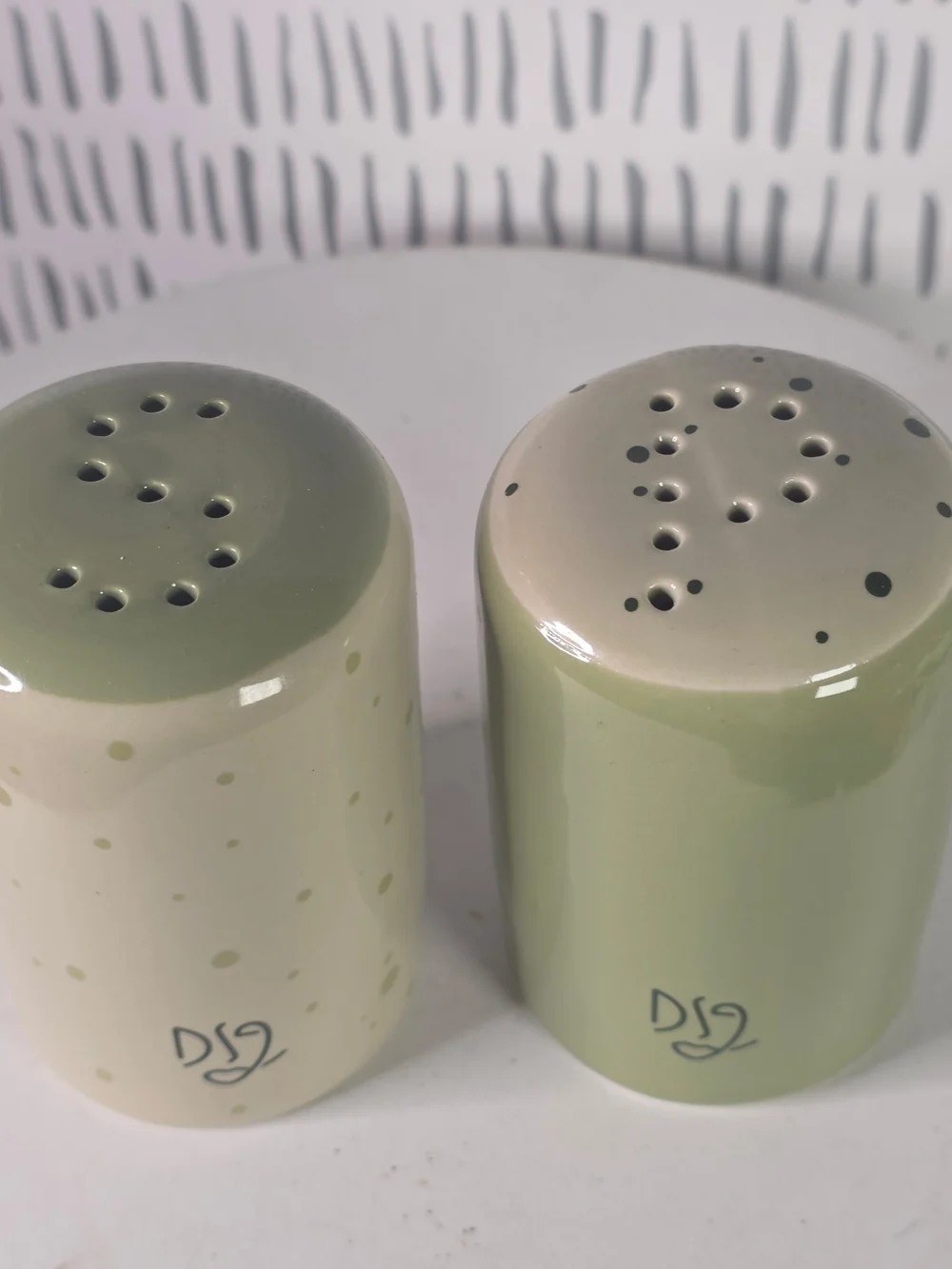Salt and Pepper Shaker Set with DS2 Logo - Sage Green & Cream